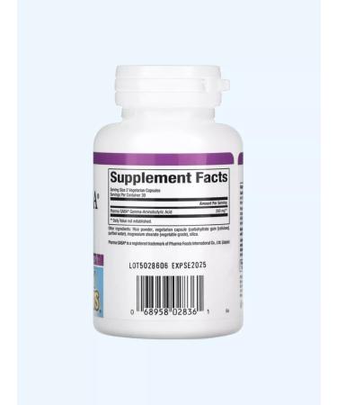 Natural Factors GABA gamma-aminomatic acid gaba 100 mg 60 capsules - Buy Online on GoSupps.com