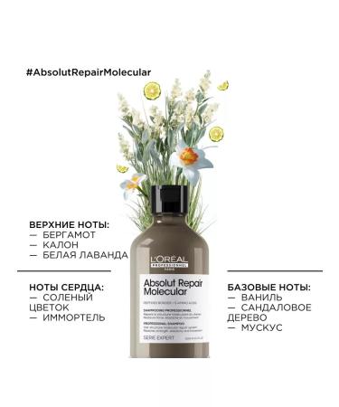 L'Oreal Professionnel Molecular hair restoration 300 ml - Buy Online on GoSupps.com