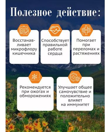 Honey Land Honey with mummy 100% natural 350g set of 6pcs. 2025 - Buy Online on GoSupps.com