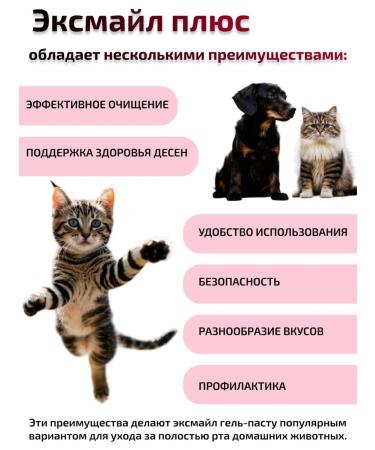 livisto EXMALE PLUS ENSIMENT TOPIC PASTA-GEL 50 gr. - Buy Online on GoSupps.com