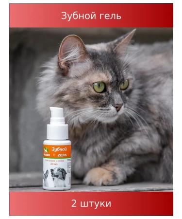 Dude Dental gel for cats and dogs enzymes and propolis 2 pcs - Buy Online on GoSupps.com