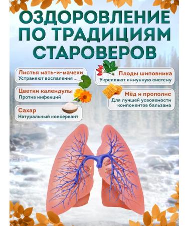 Altai Old Believer Balm for lungs and bronchi syrup from cough and colds - Buy Online on GoSupps.com