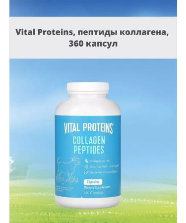 Vital Proteins collagen peptides 360 capsules