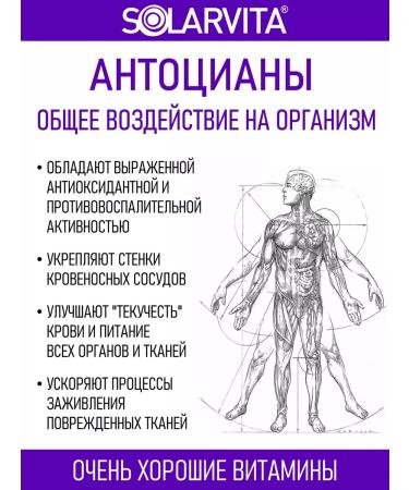 Blueberry complex 75 Solarvita 30 capsules of 350 mg - Buy Online on GoSupps.com