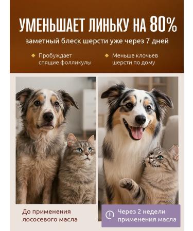 Polkan Salmon oil for dogs and cats 500 ml - Buy Online on GoSupps.com