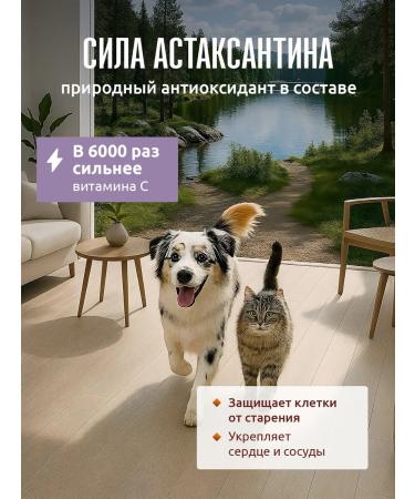 Polkan Salmon oil for dogs and cats 500 ml - Buy Online on GoSupps.com