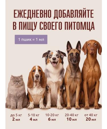 Polkan Salmon oil for dogs and cats 500 ml - Buy Online on GoSupps.com