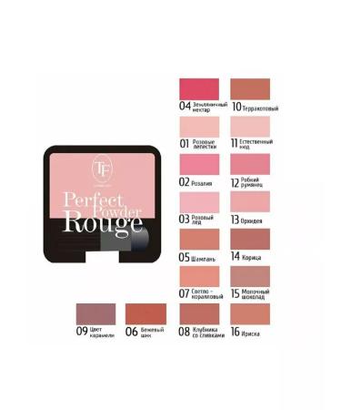 TRIUMPH Facial blush compact Perfect Powder Rouge 02 - Buy Online on GoSupps.com