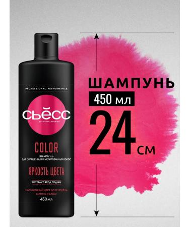 Syoss Hair set female Color shampoo + balm 450 ml x 2 - Buy Online on GoSupps.com