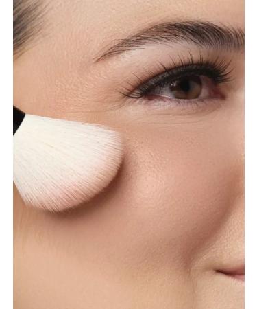 Artdeco Puff blush 18 beige-pink blush - Buy Online on GoSupps.com