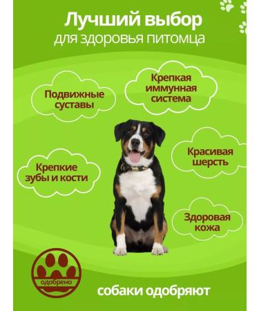 DILLY Dry food for dogs full -time with a walk of 14 kg - Buy Online on GoSupps.com