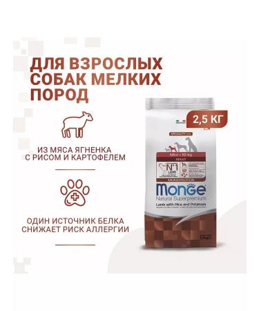 MONGE Mini Adult food for adult dogs of small breeds 2.5 kg - Buy Online on GoSupps.com