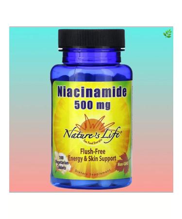 Natural Factors Nicotinamide 500 mg 100 vegetarian tablets