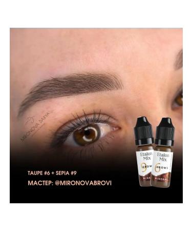 Etalon mix A set of mineral pigments for eyebrow tattooing - Buy Online on GoSupps.com