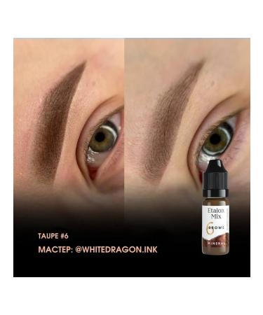 Etalon mix A set of mineral pigments for eyebrow tattooing - Buy Online on GoSupps.com