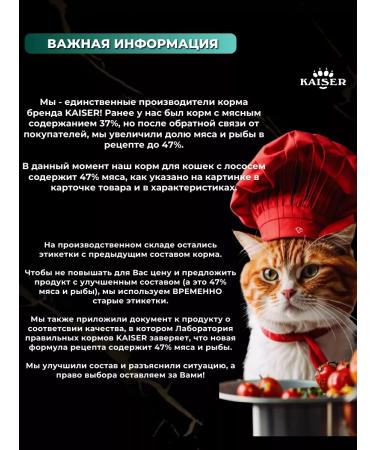 KAISER Dry food for cats 200 grams of salmon and hamsa - Buy Online on GoSupps.com