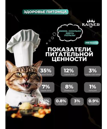 KAISER Dry food for cats 200 grams of salmon and hamsa - Buy Online on GoSupps.com