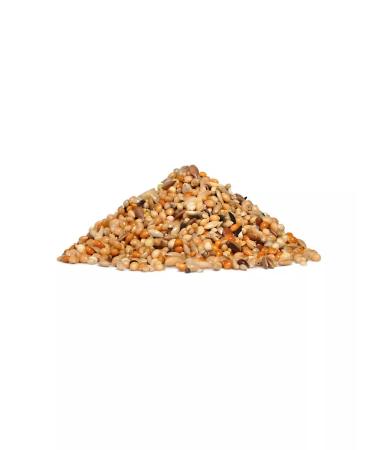 RIO Feed for wavy parrots the main diet of 1 kg - Buy Online on GoSupps.com
