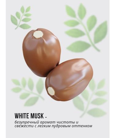 Monica Beauty White Musk hand cream with the aroma of musk 100 ml - Buy Online on GoSupps.com