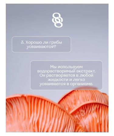 SHROOM SHROOM Cocoa on mushrooms for energy without caffeine Brain - Buy Online on GoSupps.com