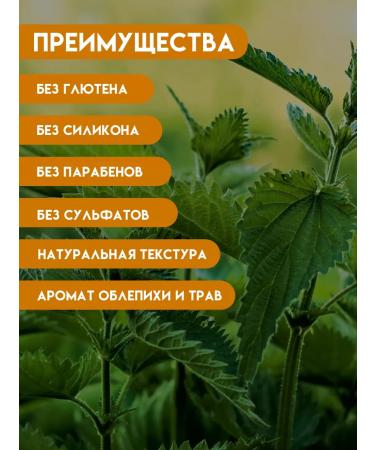 ANAHIT NATURE Shampoo strengthening for oily hair - Buy Online on GoSupps.com