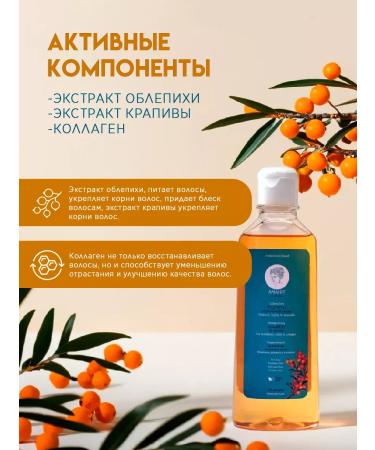 ANAHIT NATURE Shampoo strengthening for oily hair - Buy Online on GoSupps.com