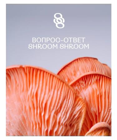 SHROOM SHROOM Cocoa on mushrooms for good sleep Dream - Buy Online on GoSupps.com