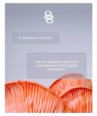 SHROOM SHROOM Cocoa on mushrooms for good sleep Dream - Buy Online on GoSupps.com