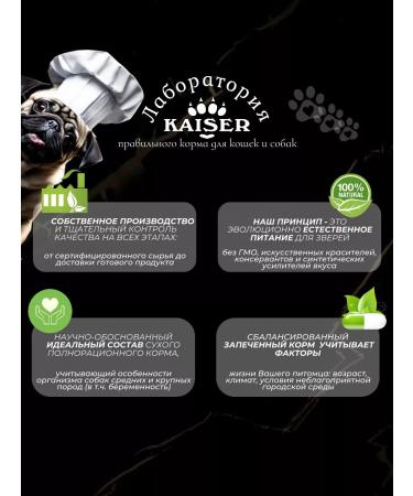 KAISER Dry food for small dogs 200 grams with beef mini -bundle - Buy Online on GoSupps.com