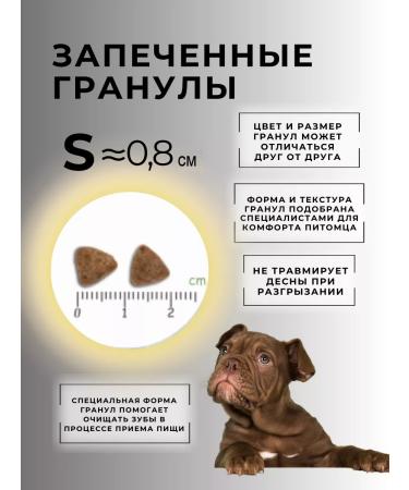 acari ciar Baked dry food for dogs with veal - Buy Online on GoSupps.com