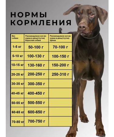 acari ciar Baked dry food for dogs with veal - Buy Online on GoSupps.com