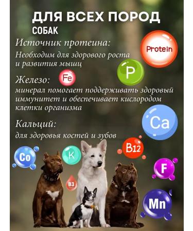 LACOMPET Treat for dogs paws duck - Buy Online on GoSupps.com