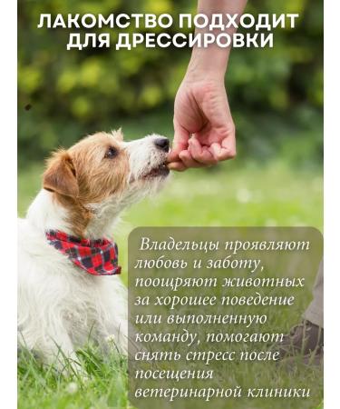 LACOMPET Treat for dogs paws duck - Buy Online on GoSupps.com