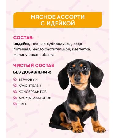 TASTY Wet feed for puppies several tastes 100 g 24 pcs - Buy Online on GoSupps.com