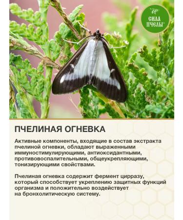 The Power of the Bee Bee firefly with mountain ash. From diabetes - Buy Online on GoSupps.com