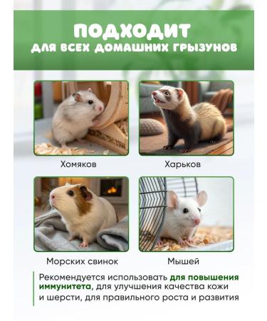 Omega Neo+ Vitamins for rodents treat - Buy Online on GoSupps.com