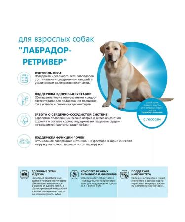 QUATTRO Dry food for dogs of breed Labrador-Retriever salmon 12 kg - Buy Online on GoSupps.com