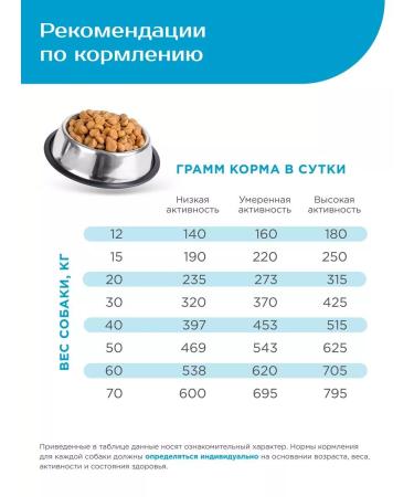 QUATTRO Dry food for dogs of breed Labrador-Retriever salmon 12 kg - Buy Online on GoSupps.com