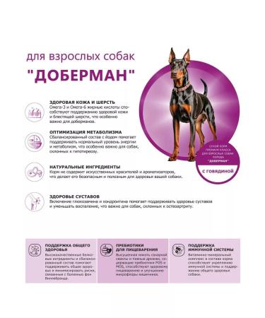 QUATTRO Dry food for dogs Doberman with beef 2.5 kg - Buy Online on GoSupps.com