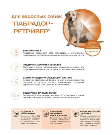 QUATTRO Dry food for dogs of the breed Labrador-Retriever turkey 12kg - Buy Online on GoSupps.com