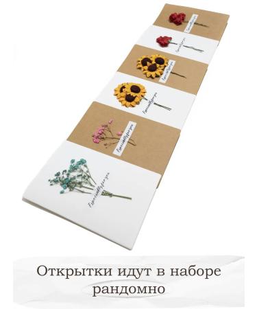 IVA&MARI Bath salt Set gift - Buy Online on GoSupps.com