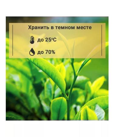 Plum Snow Tea "Green with jasmine flowers" (100 g) Baykhovy coarse - Buy Online on GoSupps.com