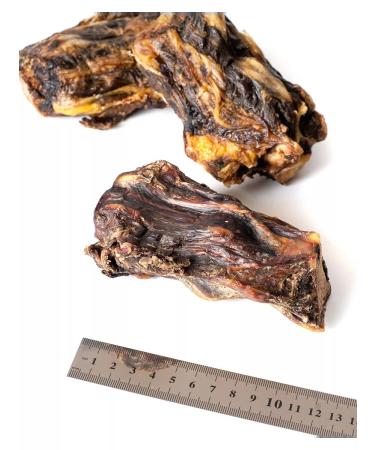 GoloDog Yummy for dogs. The tail is large - Buy Online on GoSupps.com