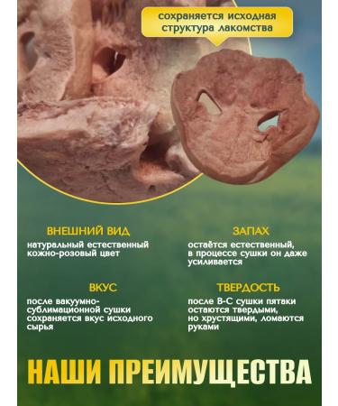 VYALNITSA Pork heel of the dogs for dogs sublimated - Buy Online on GoSupps.com