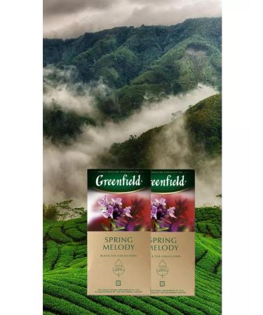 Greenfield Black Spring Melody in bags 2 packs 50pcs