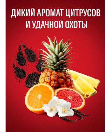 Old Spice Shower gel + shampoo 3B1 wolfthorn 1 l - Buy Online on GoSupps.com