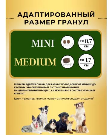 Acari Ciar Dry food for dogs Aurora Light 3.5 kg granlane mini - Buy Online on GoSupps.com