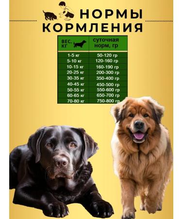 Acari Ciar Dry food for dogs Flagman 6.5 kg gran Medium - Buy Online on GoSupps.com