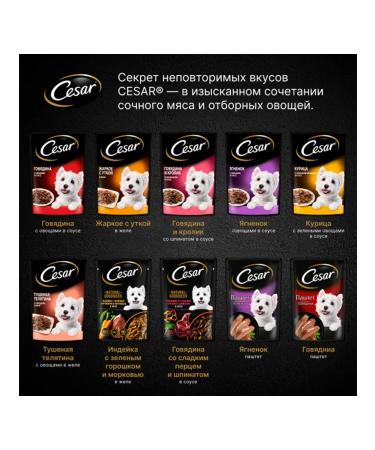 CESAR Wet food for small dogs beef paste 80 g 10 pcs - Buy Online on GoSupps.com