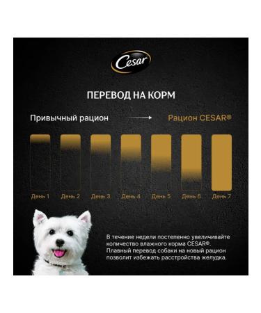 CESAR Dog food small moist beef paste 80 g 28 pcs - Buy Online on GoSupps.com